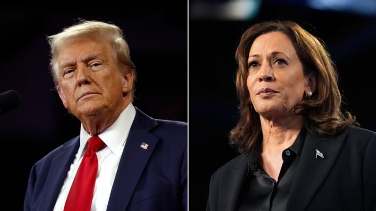 20241010-donald-trump-kamala-harris-split