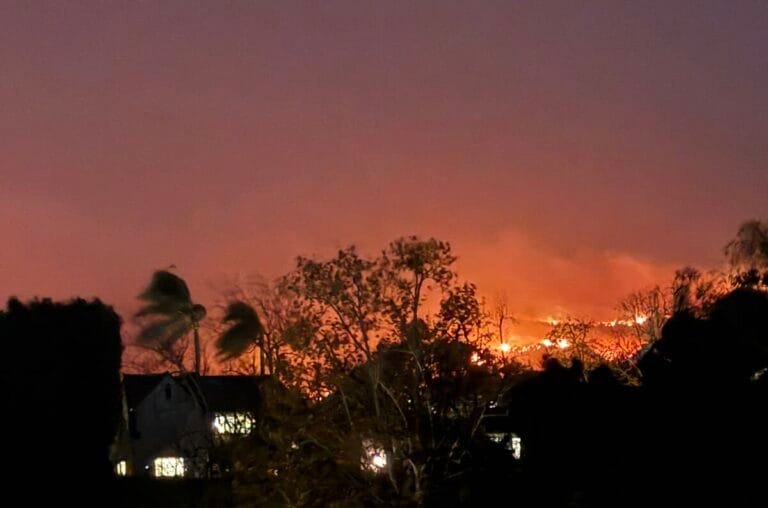 Palisades_Fire_from_UCLA_0668_(cropped)